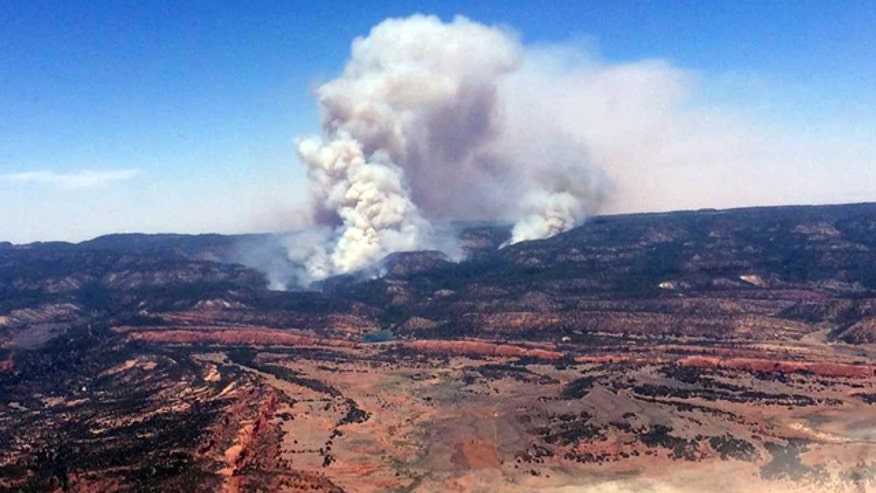 New Mexico Wildfire_Cham061714.jpg